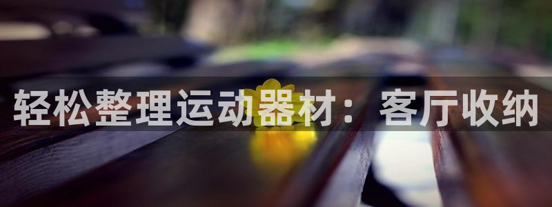 xk星空体育官网下载平台是正规平台吗知乎:轻松整理运动器材: