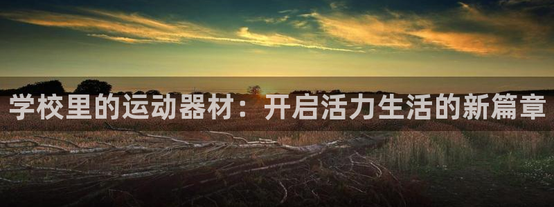 xk星空体育官方正版app开户:学校里的运动器材:开启活力生